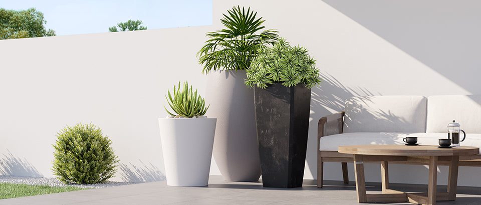 How to Maintain Your ModaConcrete Planters
