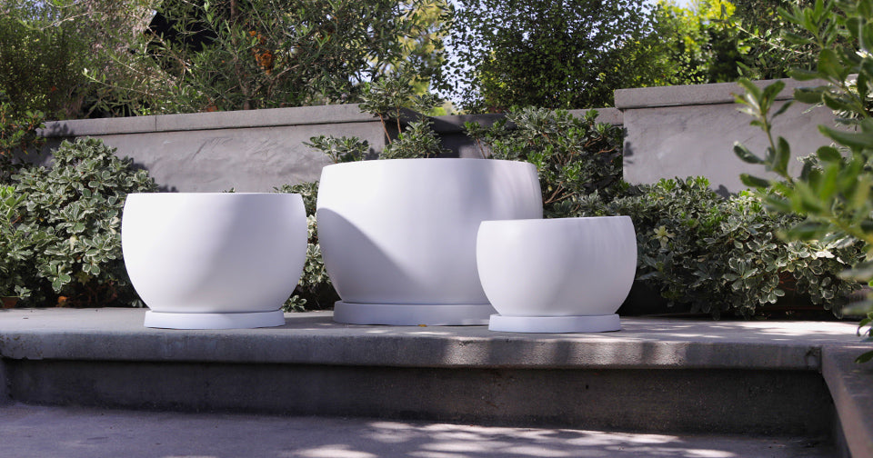 Concrete planters: A modern, durable choice for home, garden and patio design.