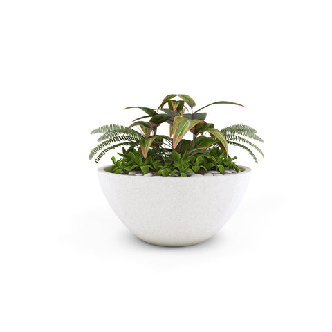 Tabletop Planters