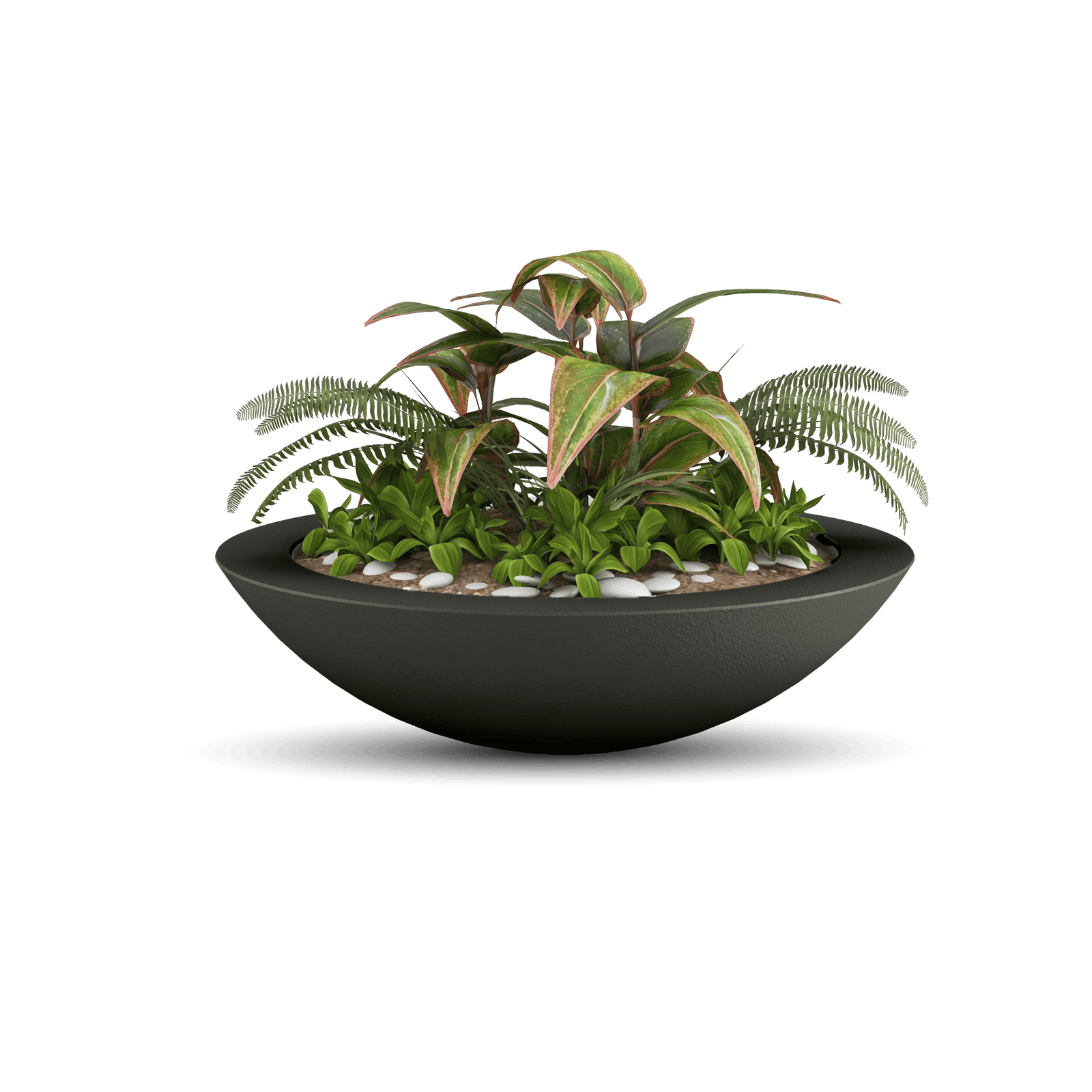 Oceanside Outdoor Shallow Planter in French Gray with Plants