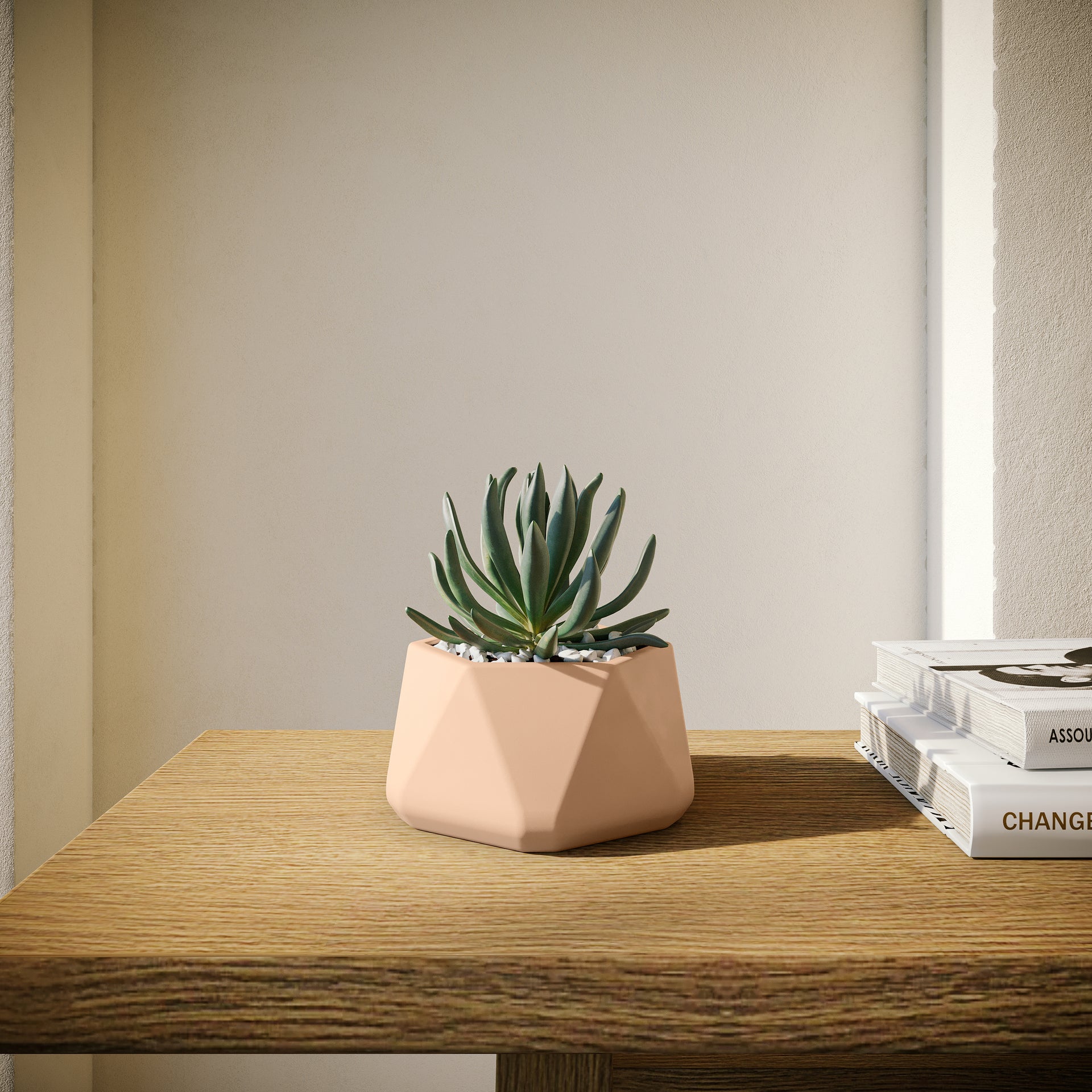 Concrete Mini Genna Tabletop Planters (Set of 2)