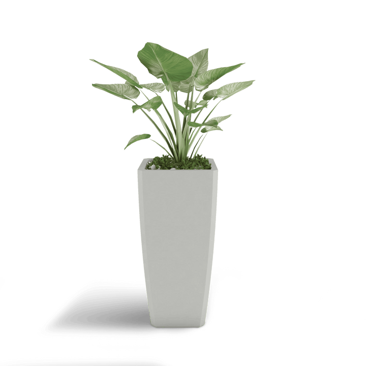 Quartet GFRC Planter in Dover Blue Color - planted