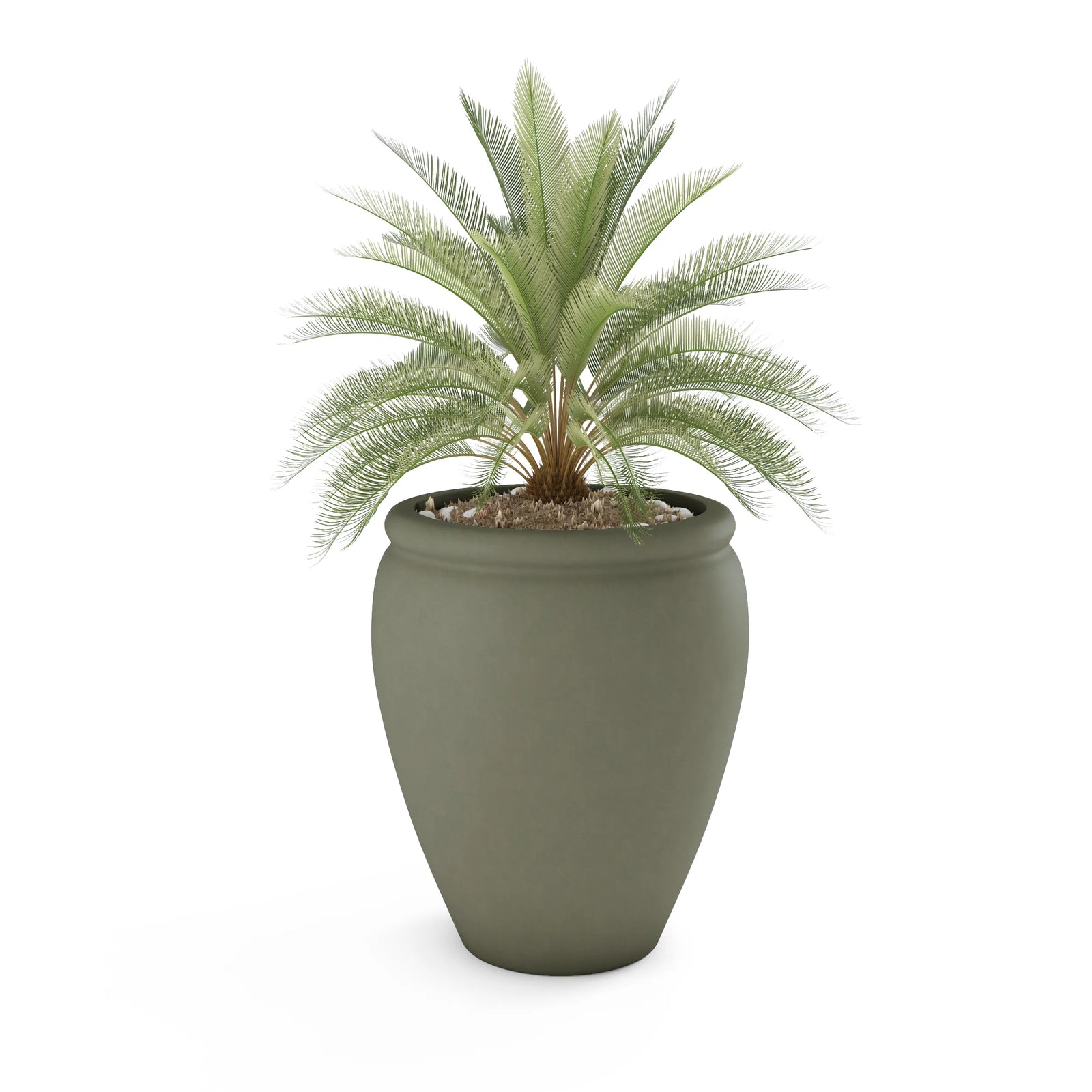 Bambino GFRC concrete planter in Sage — round modern outdoor planter by ModaConcrete
