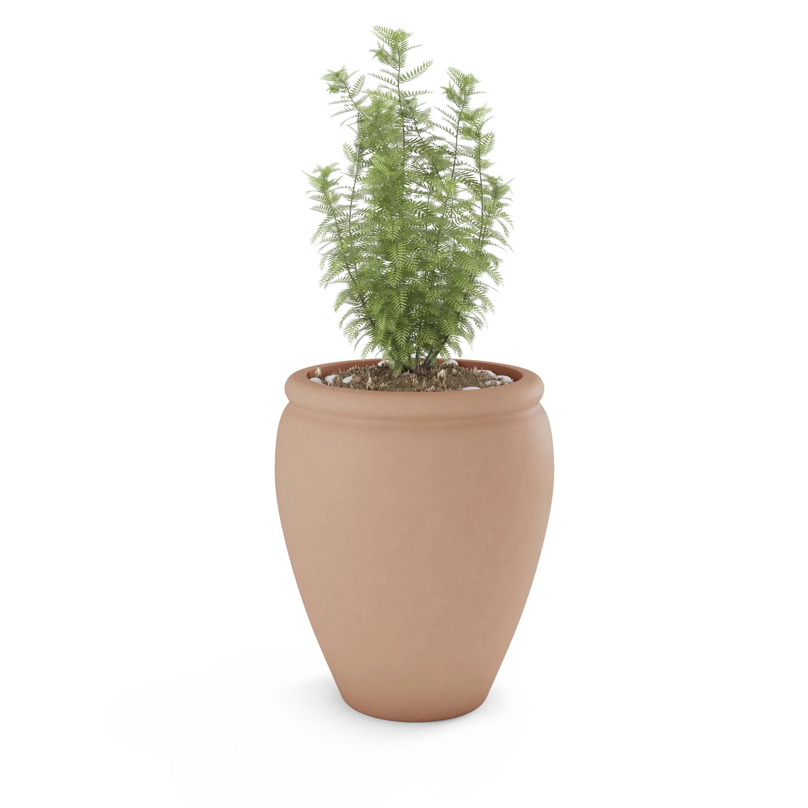 Bambino GFRC concrete planter in Rose — round modern outdoor planter by ModaConcrete