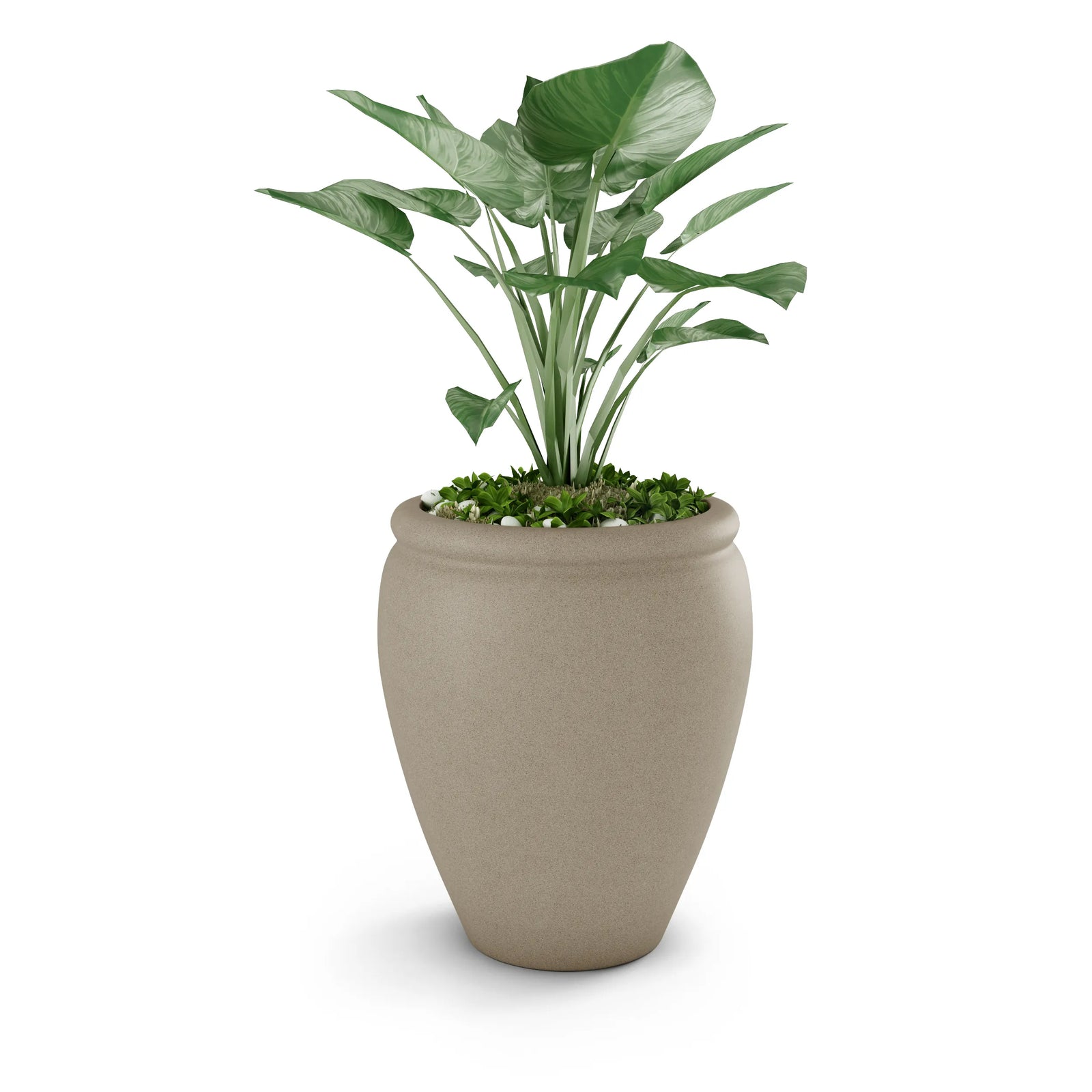 Bambino GFRC concrete planter in Sand — round modern outdoor planter by ModaConcrete