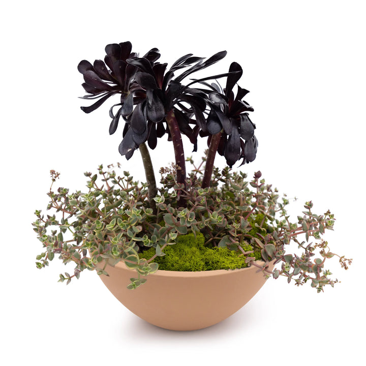 Concrete Basin Tabletop Planter Smokey Blue