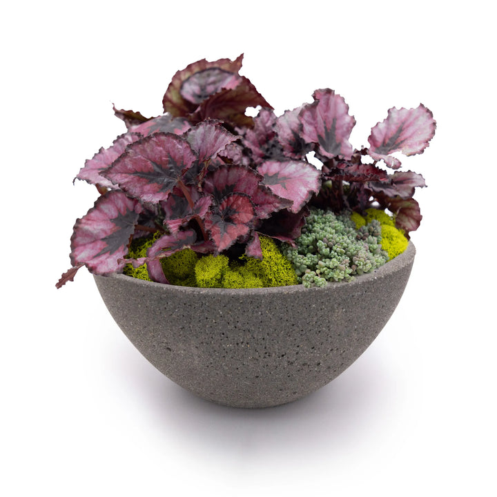 Concrete Basin Tabletop Planter