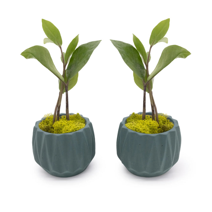 Concrete Mini Flute Tabletop Planters (Set of 2) Smokey Blue