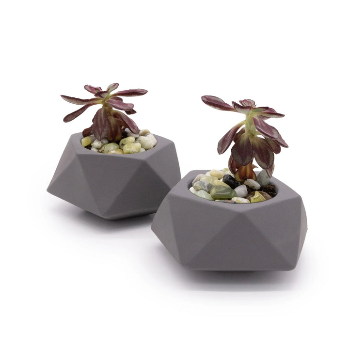 Concrete Mini Tilt Tabletop Planters (Set of 2) Dark Grey
