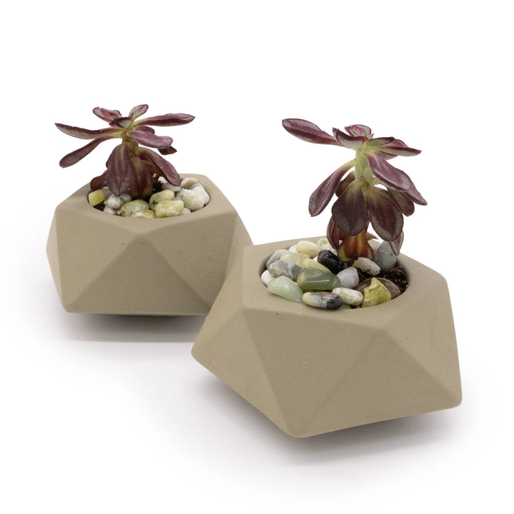 Concrete Mini Tilt Tabletop Planters (Set of 2) Sage