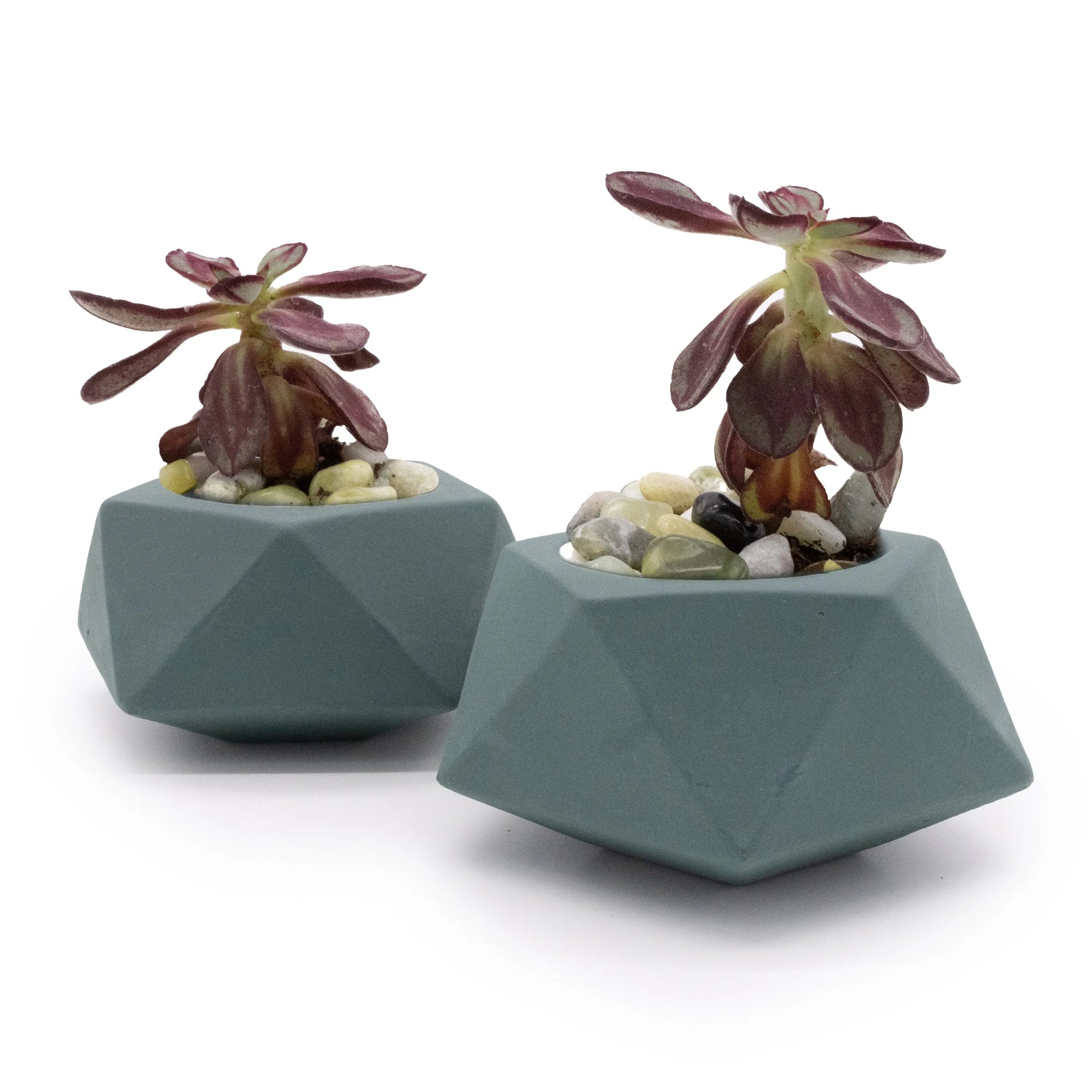 Concrete Mini Tilt Tabletop Planters (Set of 2) Smokey Blue