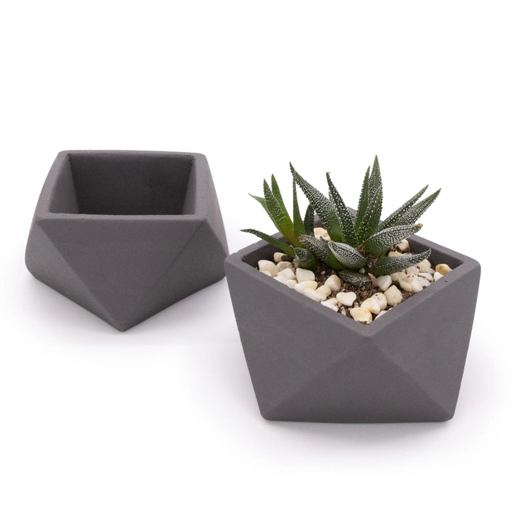 Concrete Mini Wedge Tabletop Planters (Set of 2) Dark Grey