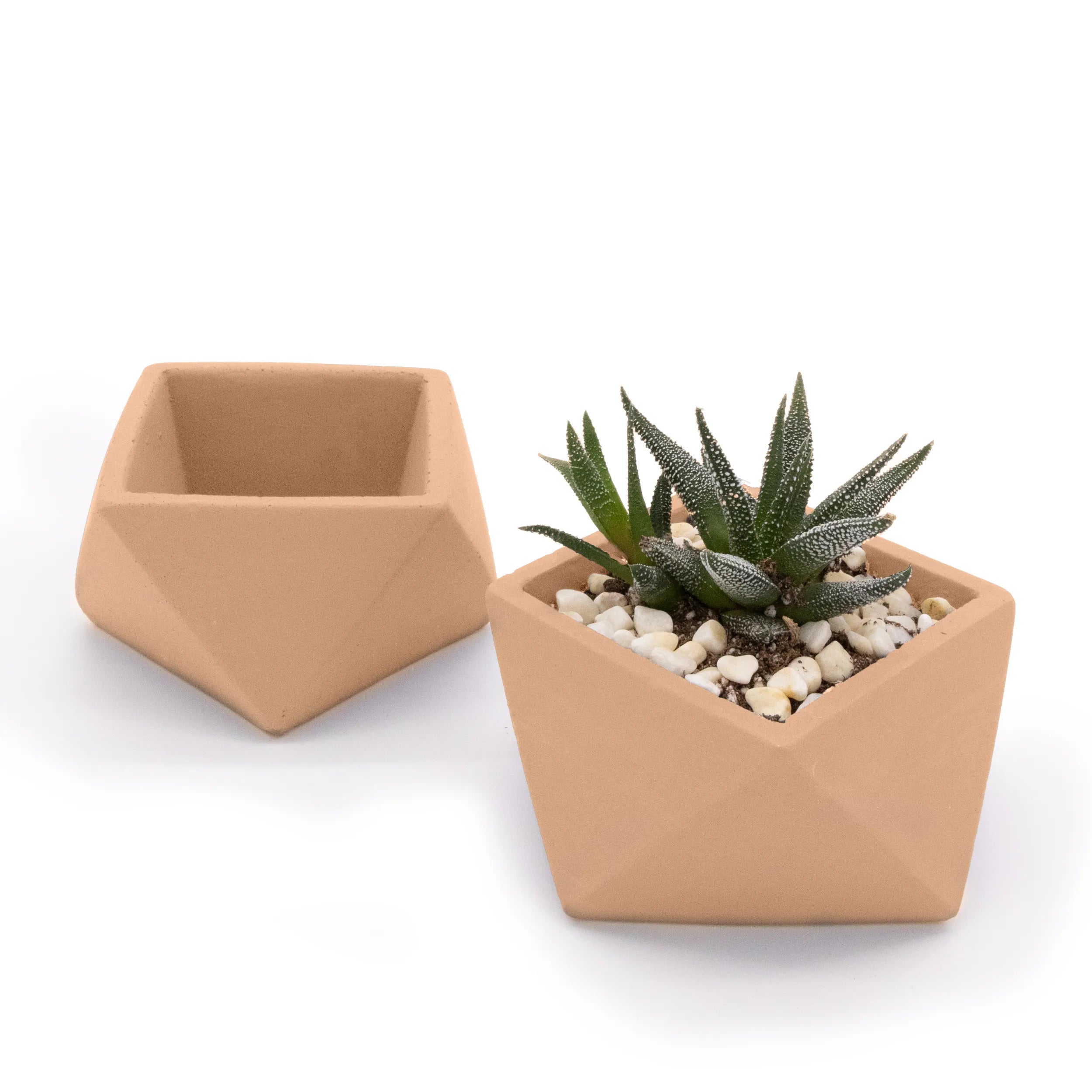 Concrete Mini Wedge Tabletop Planters (Set of 2) Rose