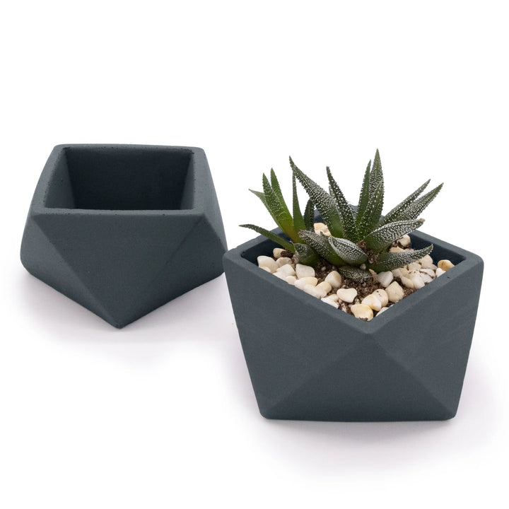 Concrete Mini Wedge Tabletop Planters (Set of 2) Smokey Blue