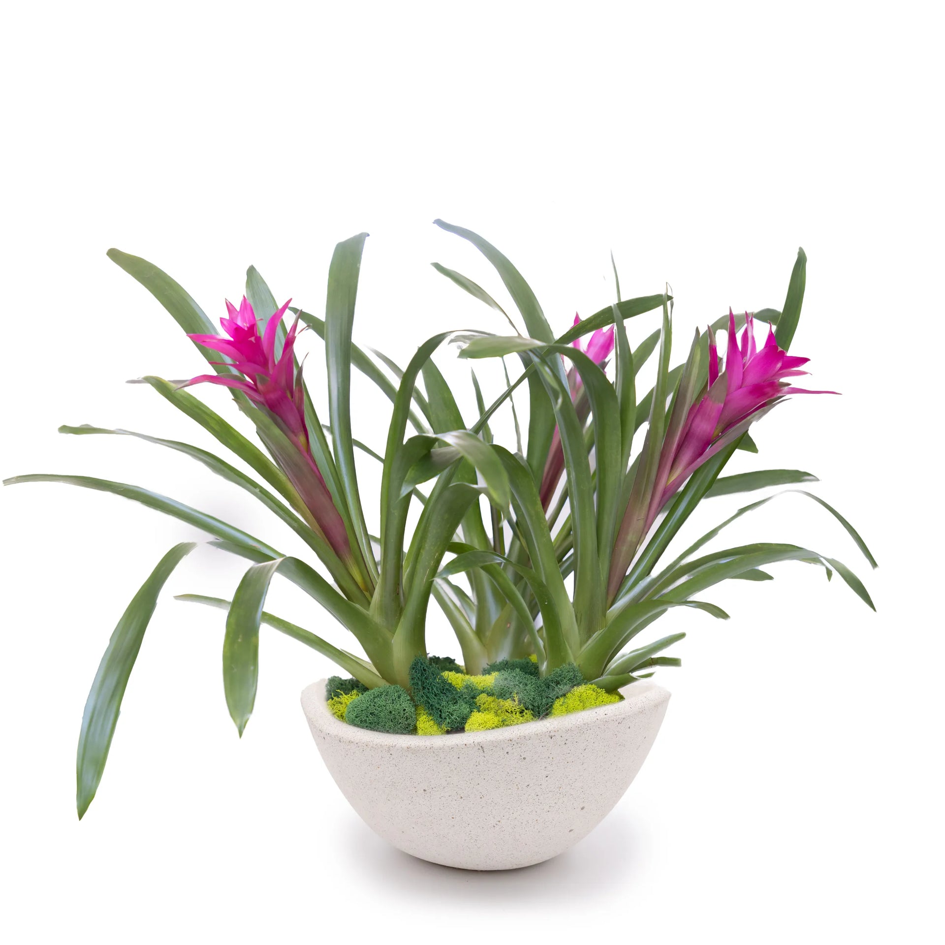 Concrete Wave Tabletop Planter Graphite