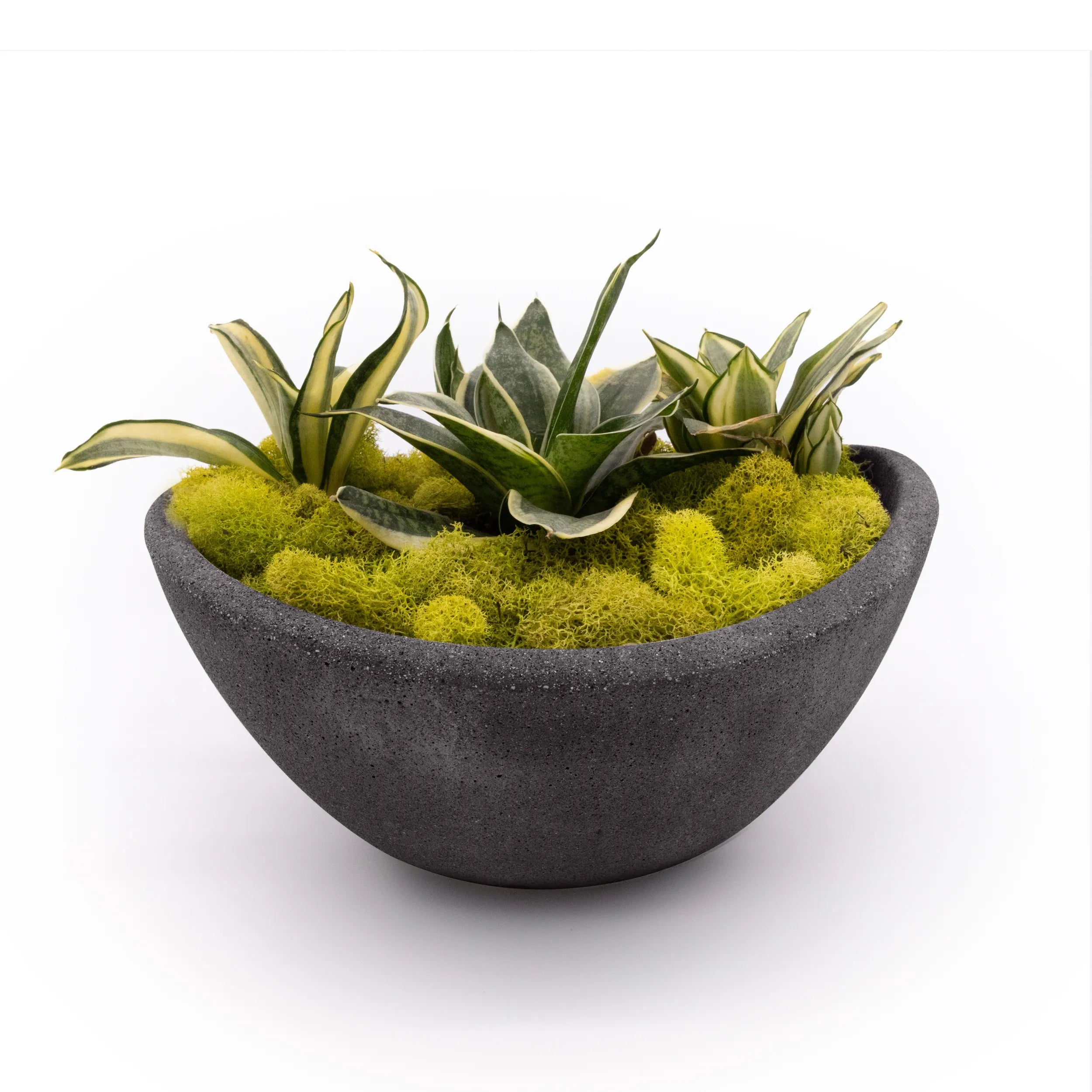 Concrete Wave Tabletop Planter