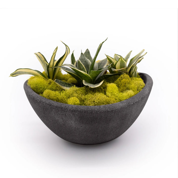 Concrete Wave Tabletop Planter