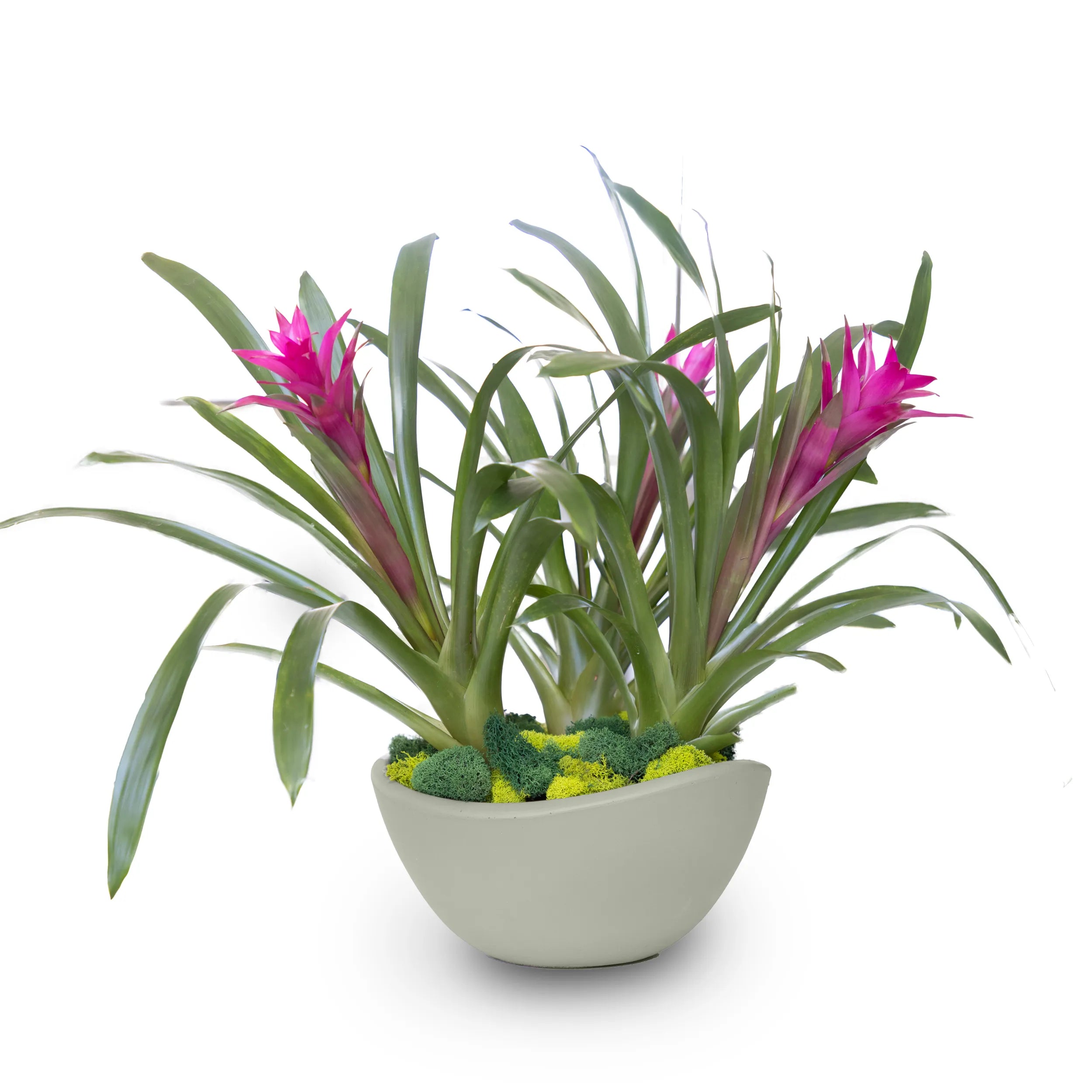 Concrete Wave Tabletop Planter