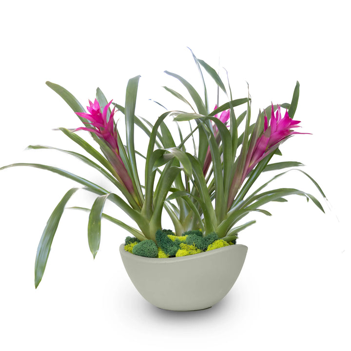 Concrete Wave Tabletop Planter