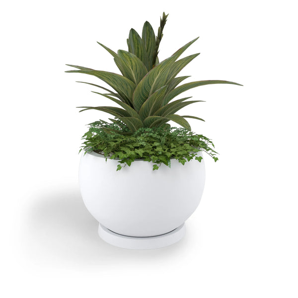 Corsica ModaCAST lightweight fiberglass planter with an agave-style plant and groundcover, studio render