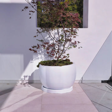 ModaConcrete