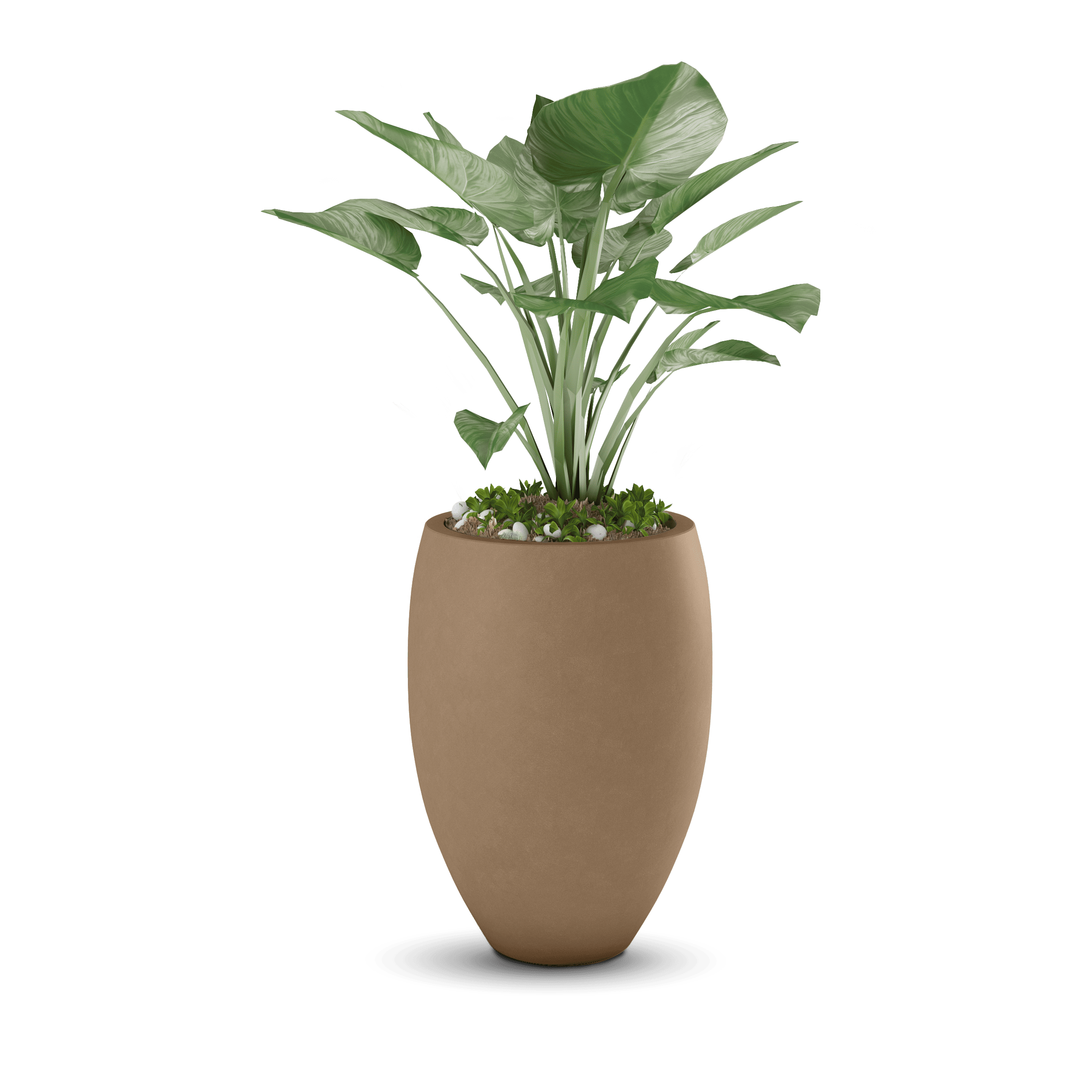 Brandy GFRC Planter in Adobe Buff Color - planted