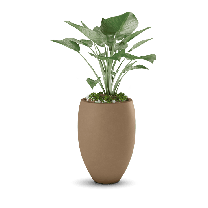 Brandy GFRC Planter in Adobe Buff Color - planted