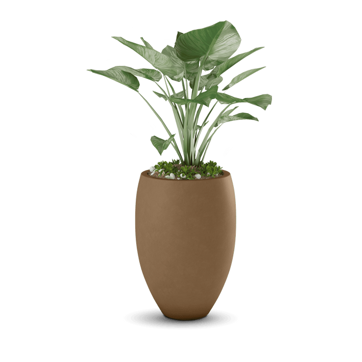 Brandy GFRC Planter in Cappuccino Color - planted