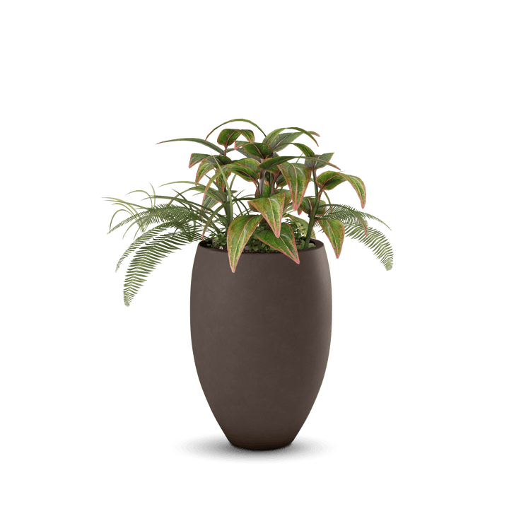 Brandy GFRC Planter in Walnut Color - planted