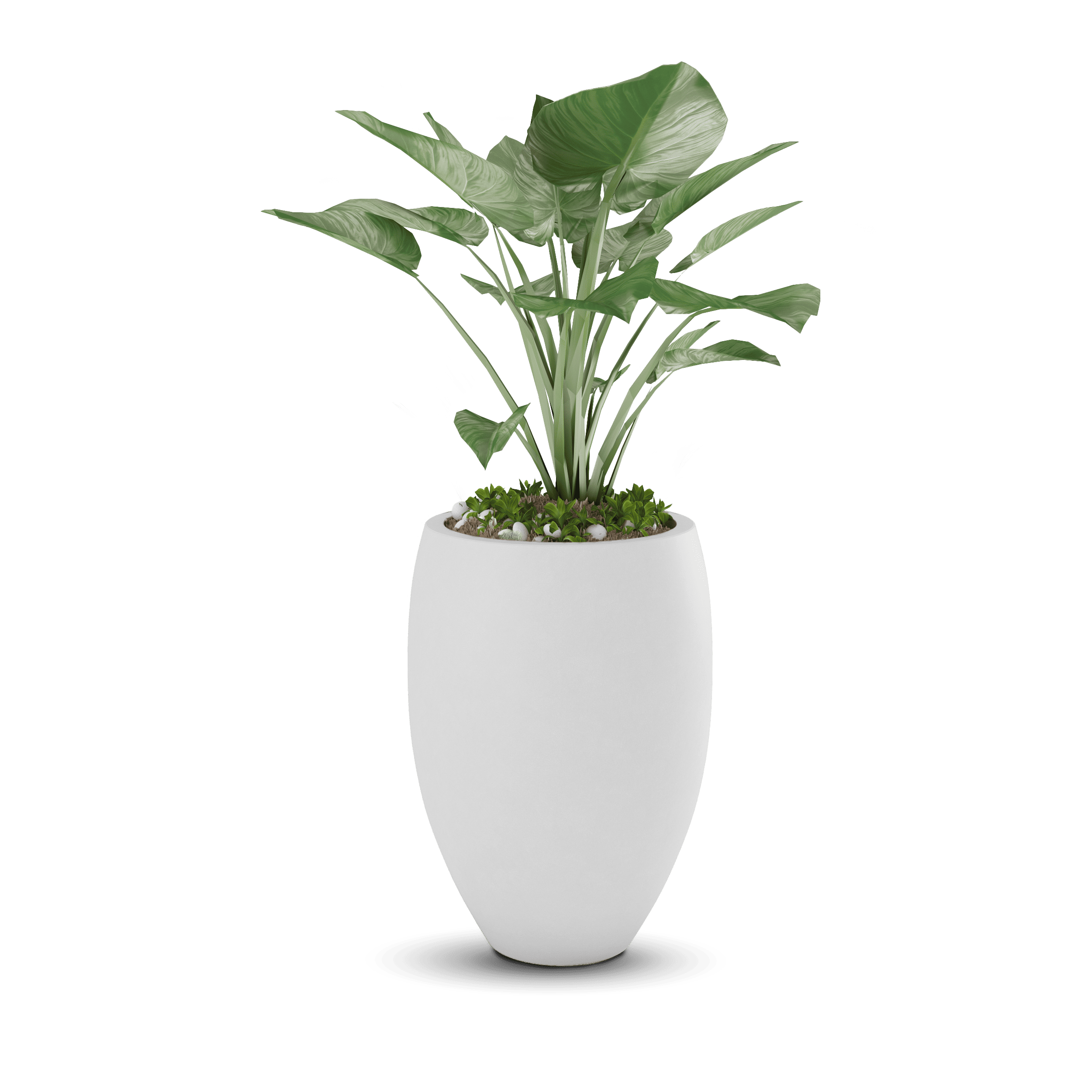 Brandy GFRC Planter in White Color - planted
