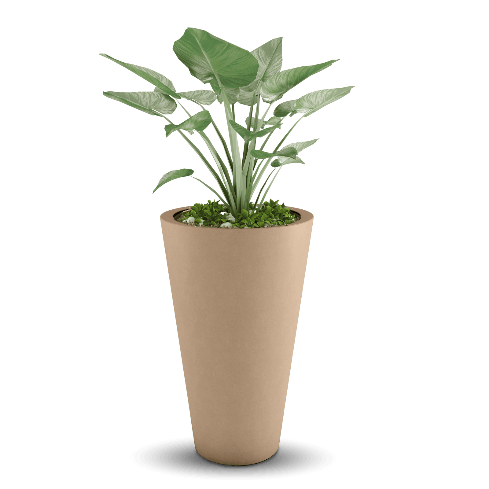 Cone GFRC Planter in Adobe Buff Color - planted
