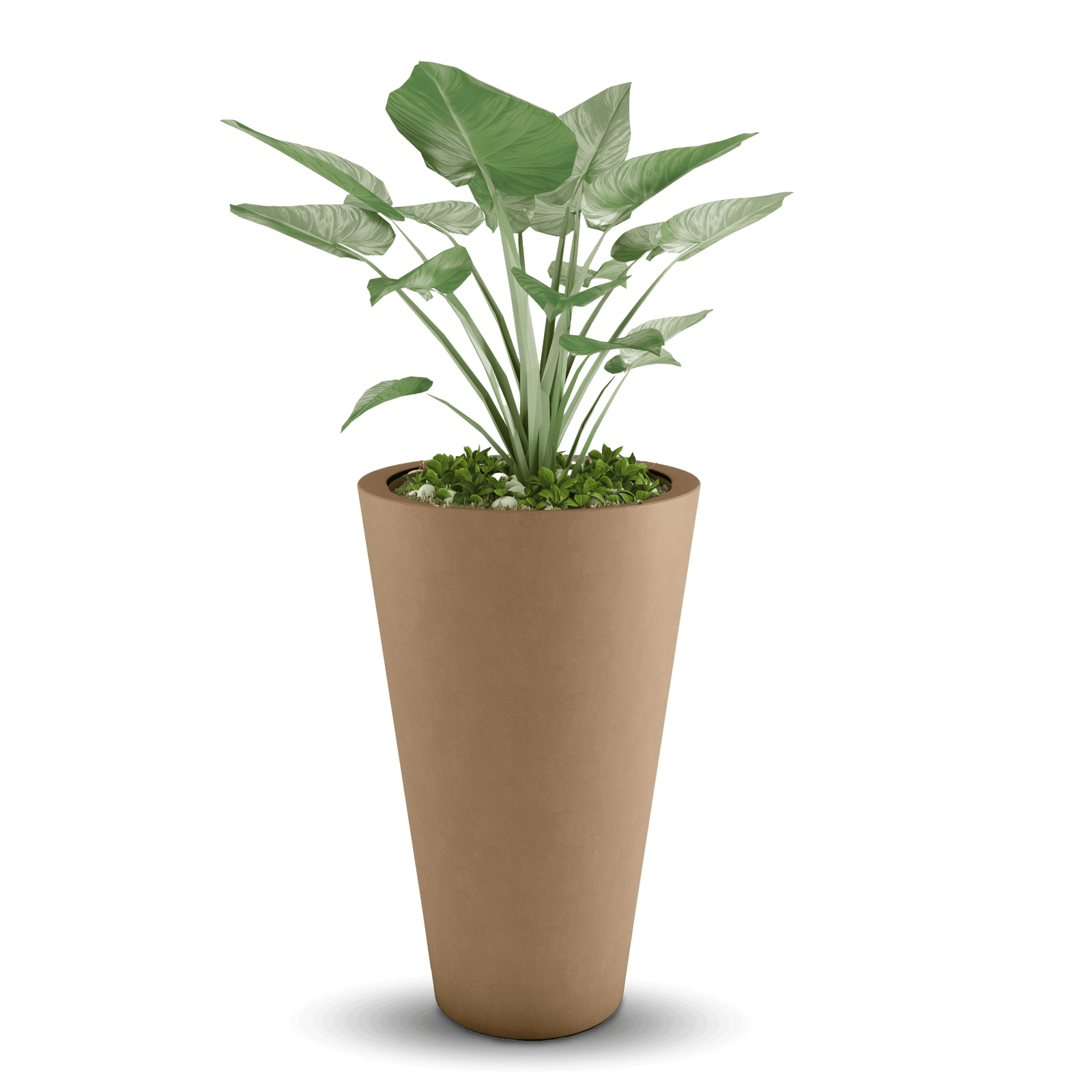 Cone GFRC Planter in Cappuccino Color - planted