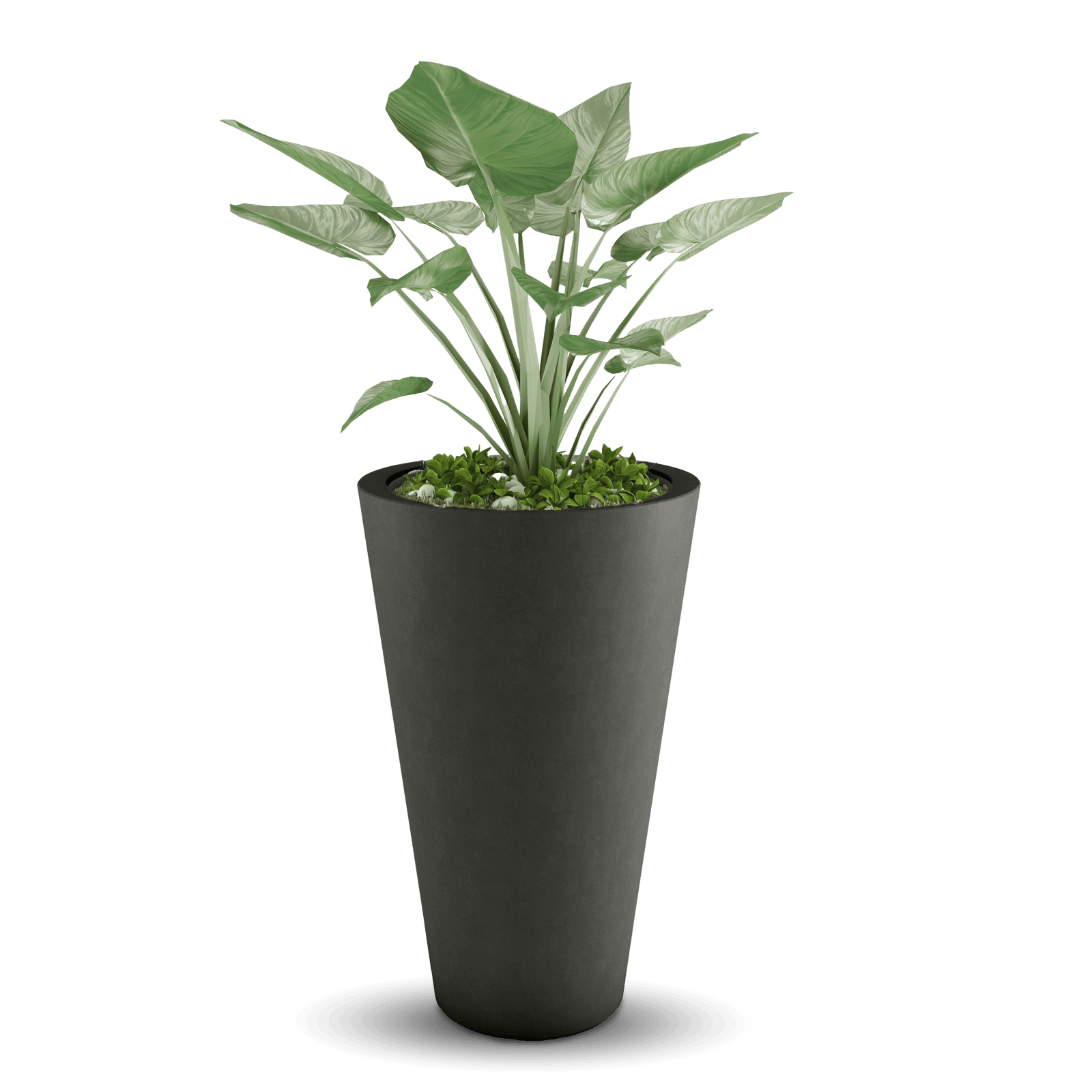 Cone GFRC Planter in French Gray Color - planted