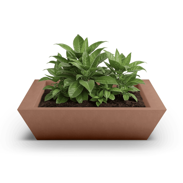 Newport Shallow GFRC Planter in Antique Rose Color - planted