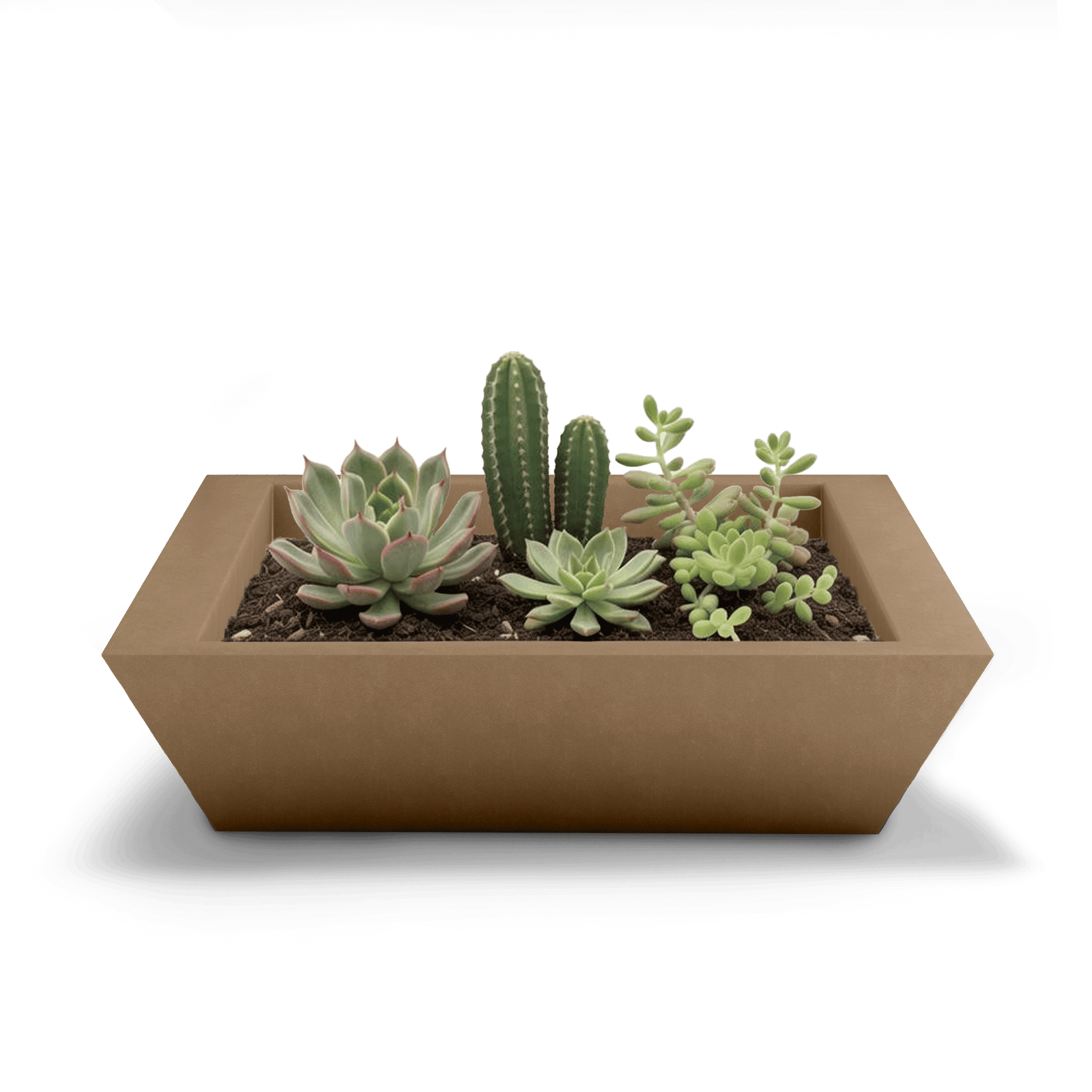 Newport Shallow GFRC Planter in Cappuccino Color - planted