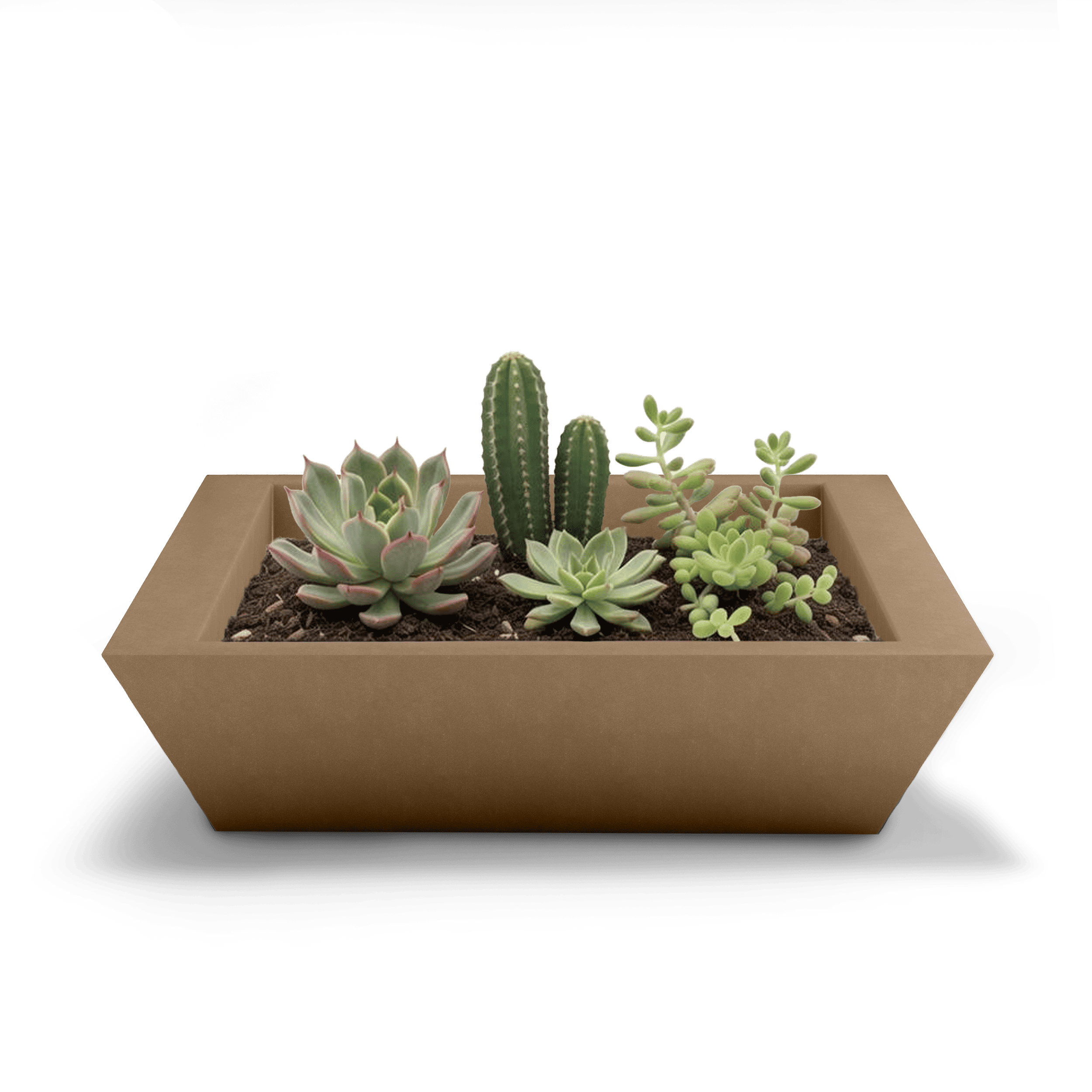 Newport Shallow GFRC Planter in Cappuccino Color - planted