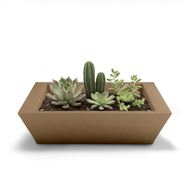 Newport Shallow GFRC Planter in Cappuccino Color - planted