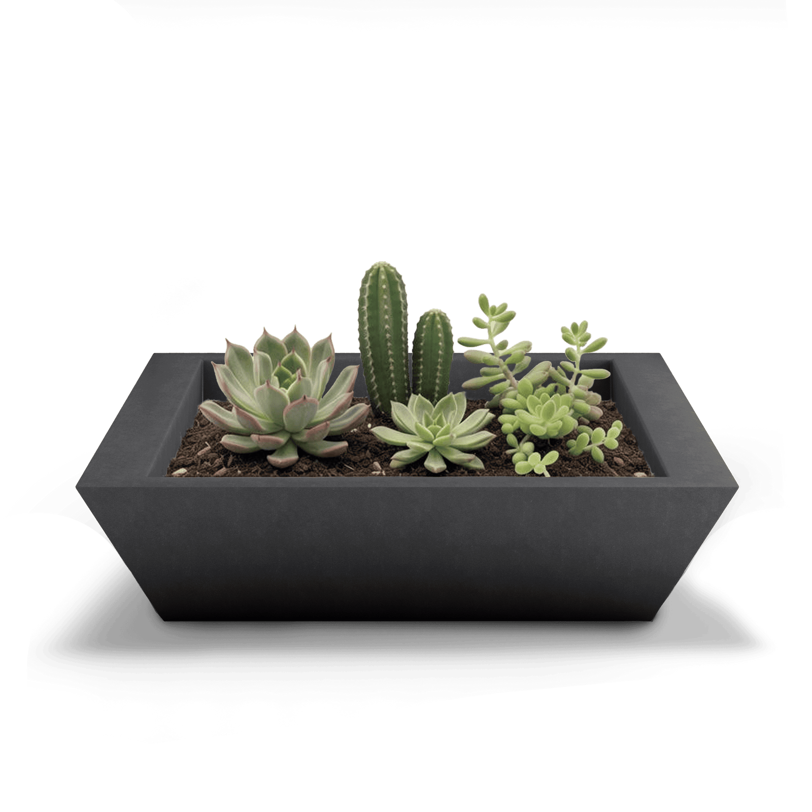Newport Shallow GFRC Planter in Dark Gray Color - planted
