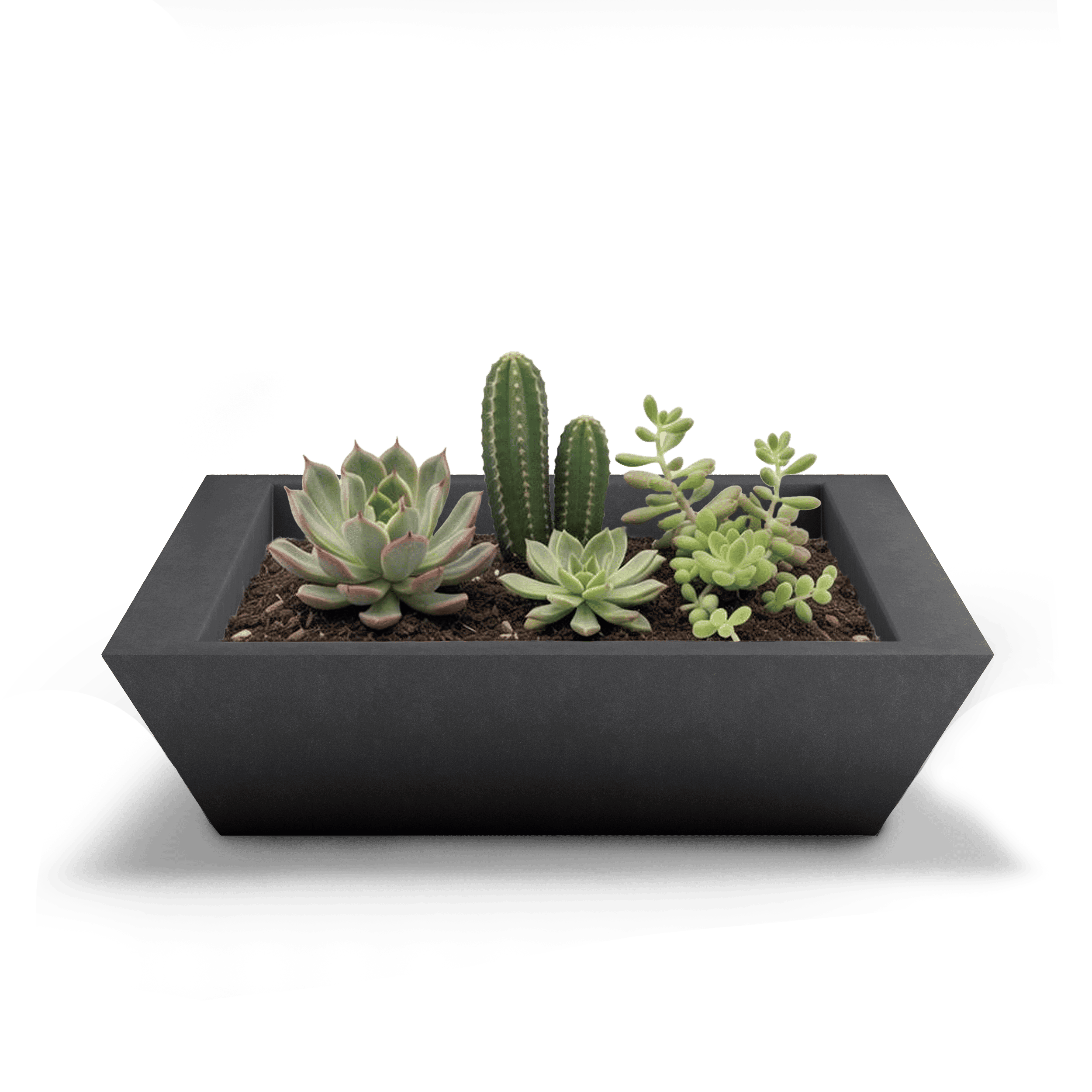 Newport Shallow GFRC Planter in Dark Gray Color - planted