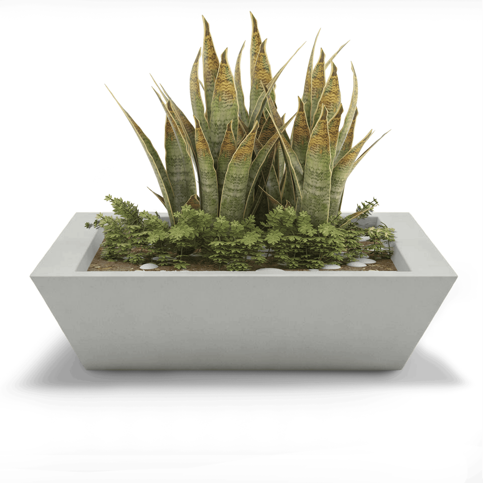 Newport Shallow GFRC Planter in Dover Blue Color - planted