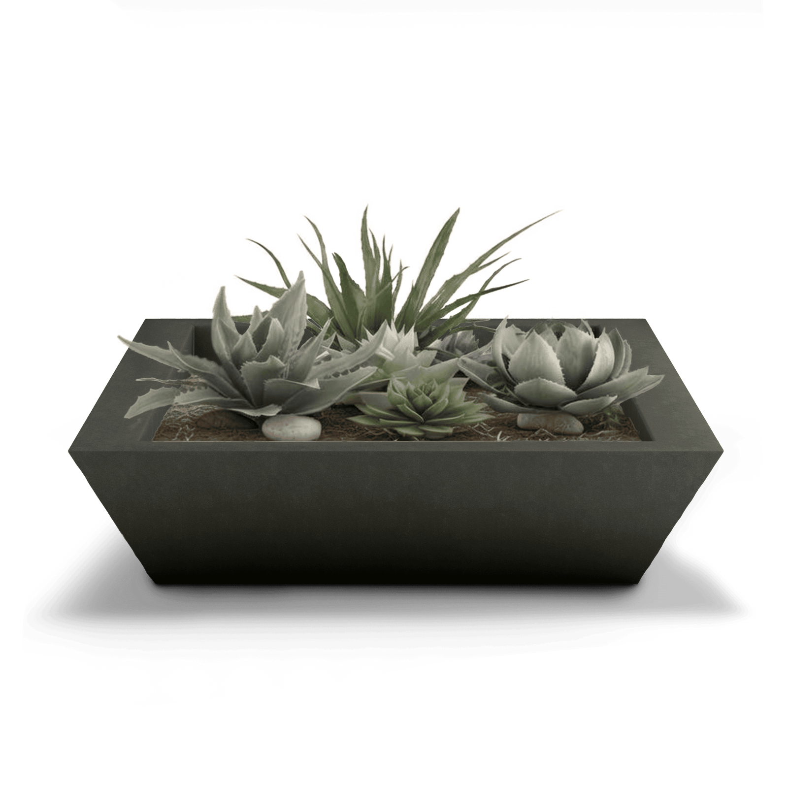 Newport Shallow GFRC Planter in French Gray Color - planted