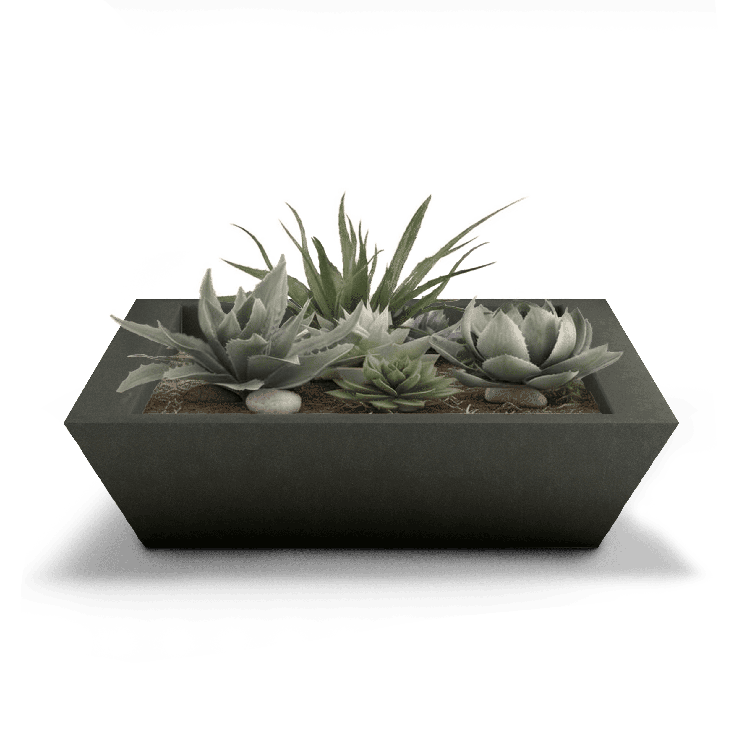 Newport Shallow GFRC Planter in French Gray Color - planted
