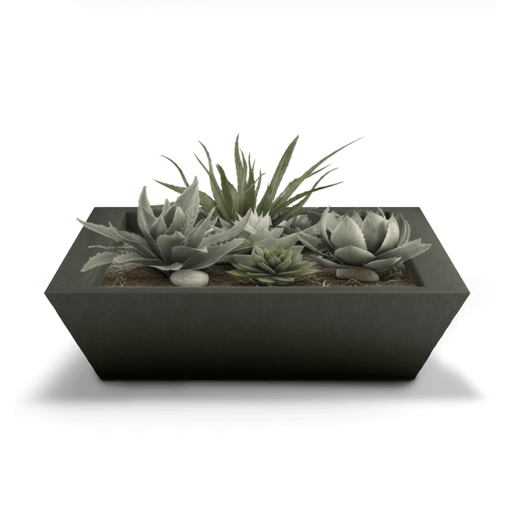 Newport Shallow GFRC Planter in French Gray Color - planted