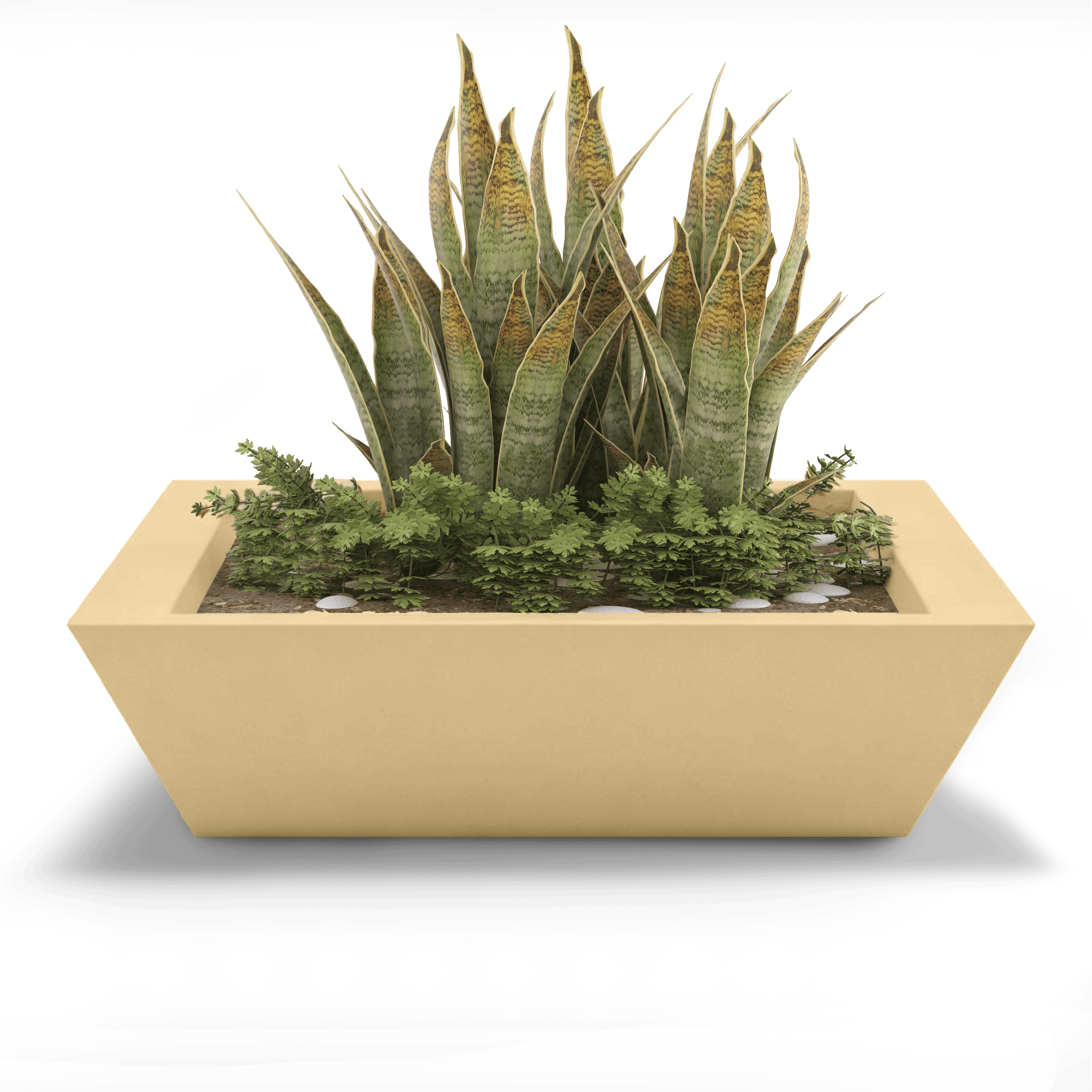 Newport Shallow GFRC Planter in Golden Sandstone Color - planted