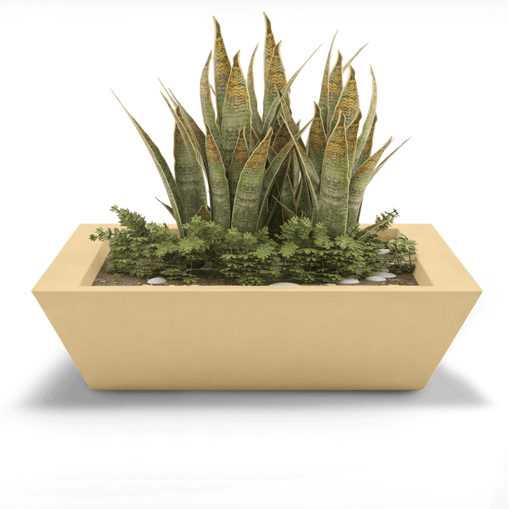 Newport Shallow GFRC Planter in Golden Sandstone Color - planted