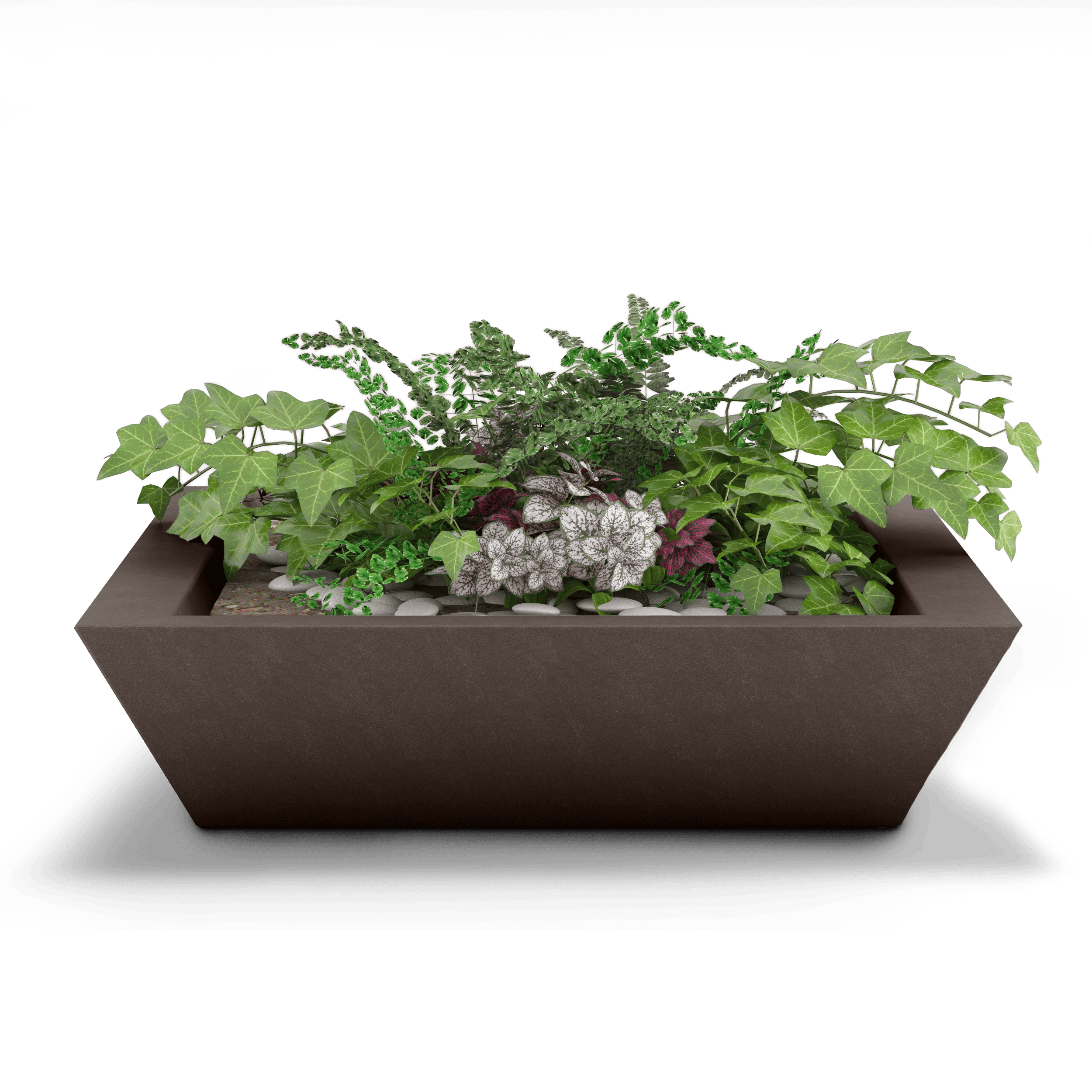 Newport Shallow GFRC Planter in Walnut Color - planted