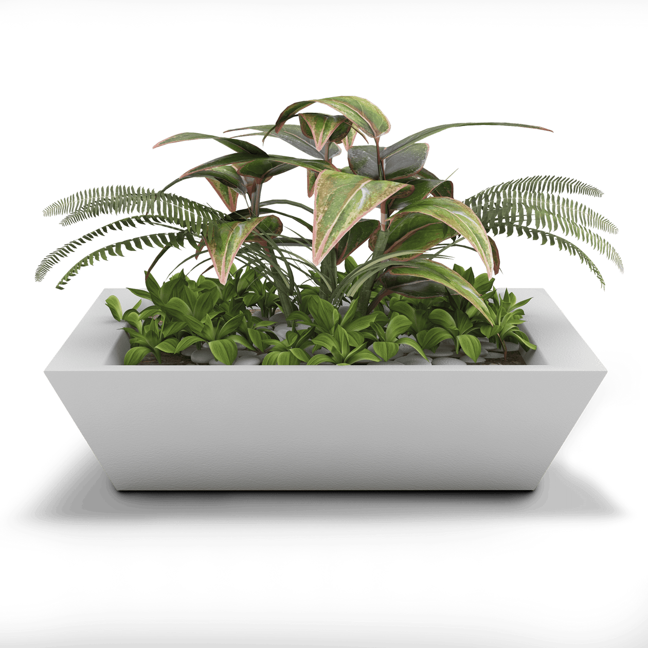 white square planter indoor Newport Square Shallow Planter