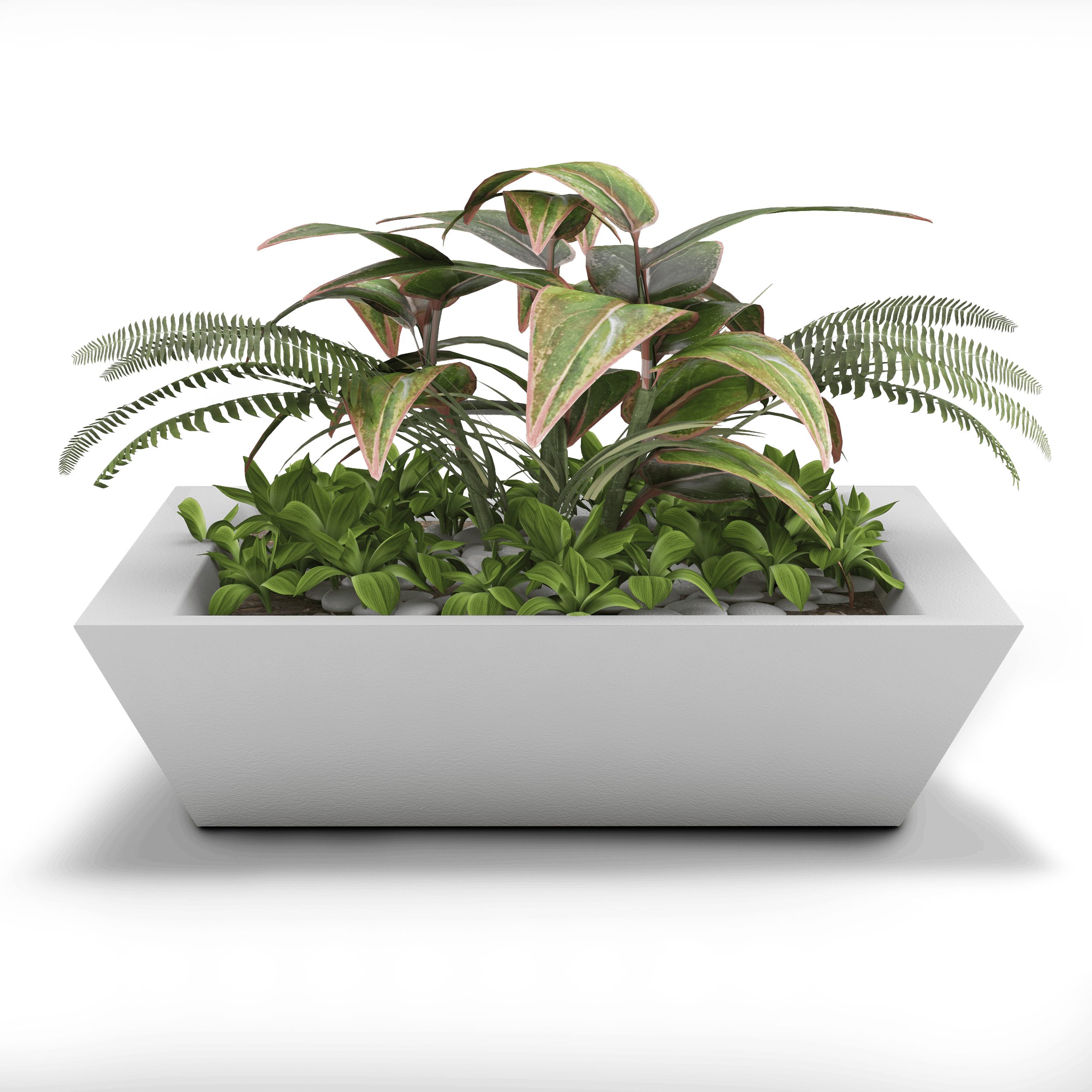 Newport Shallow GFRC Planter in White Color - planted