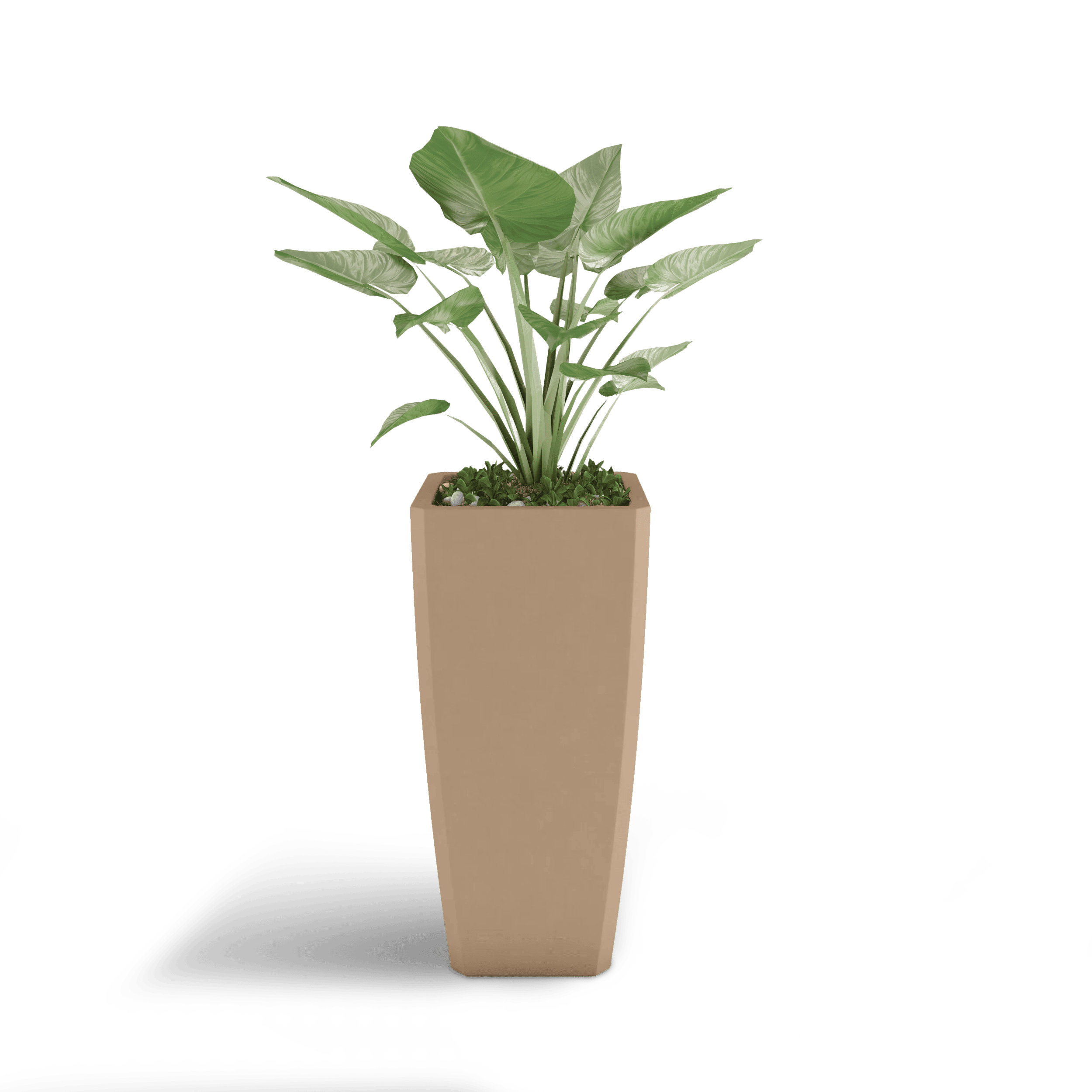 Quartet GFRC Planter in Adobe Buff Color - planted