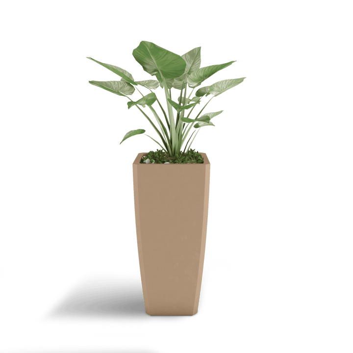 Quartet GFRC Planter in Adobe Buff Color - planted